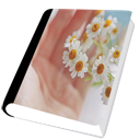 4 ChromeIlusion icon